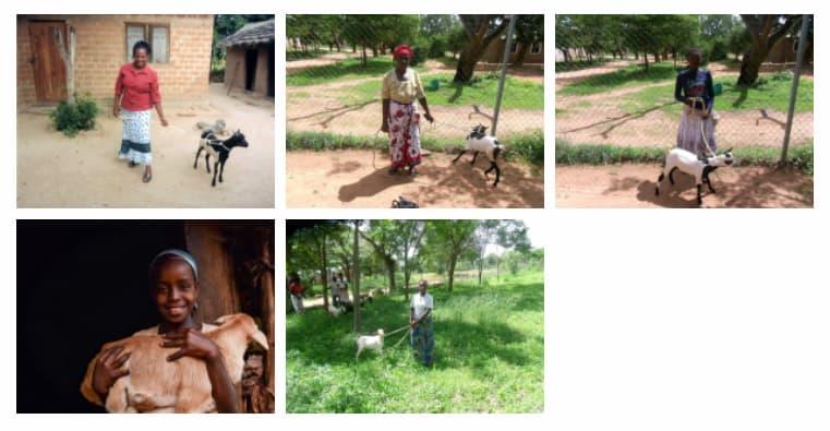 People with their goats in Tanzania