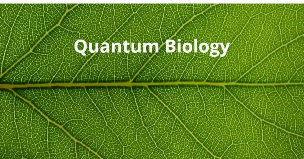 What is Quantum Biology? SCALAR LIGHT