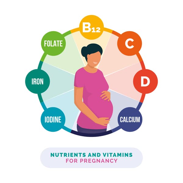 The Best Nutrition For Pregnancy - SCALAR LIGHT